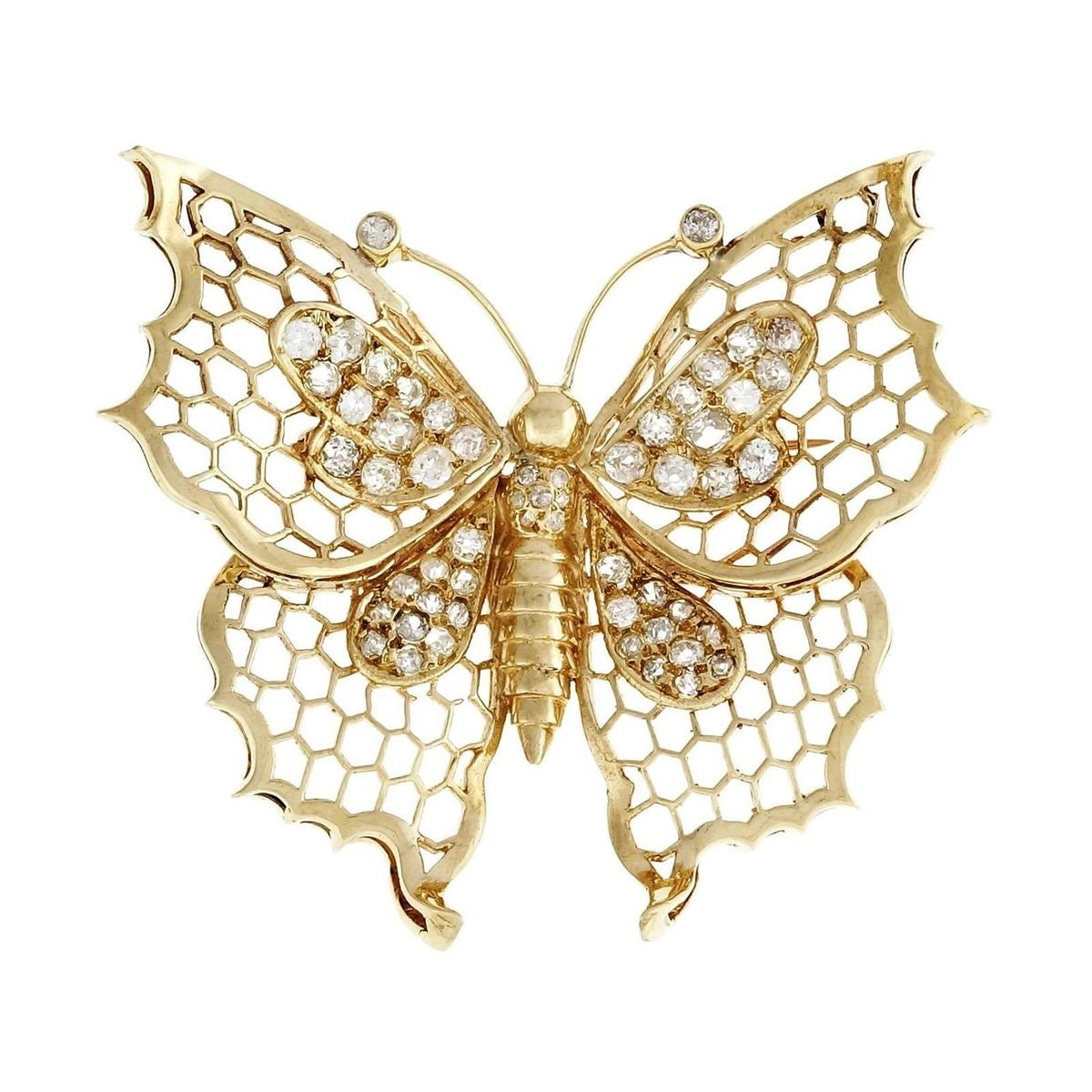 Golden Honeywing Butterfly Brooch